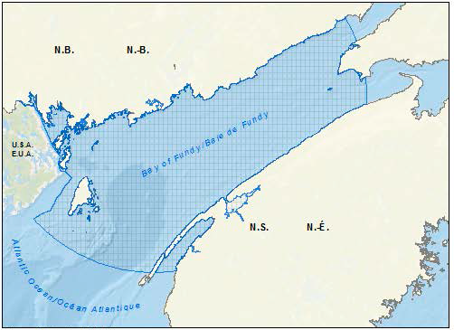 Carte de Saint John et baie de Fundy